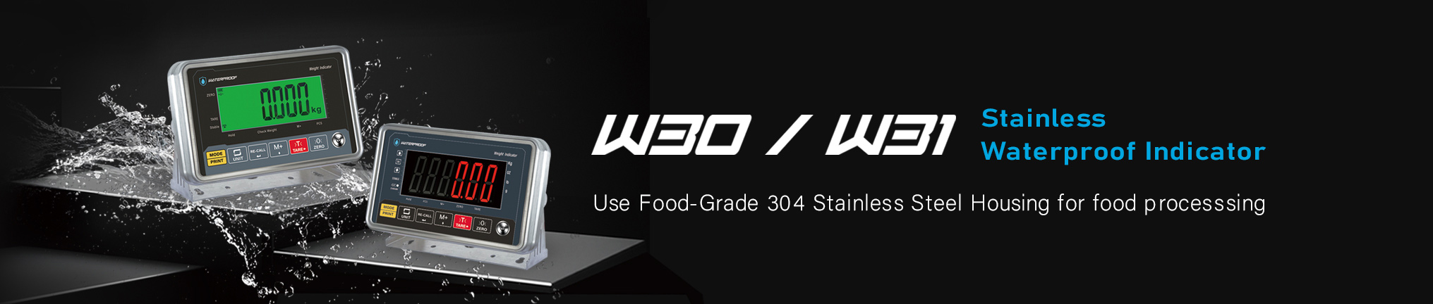 W30W31